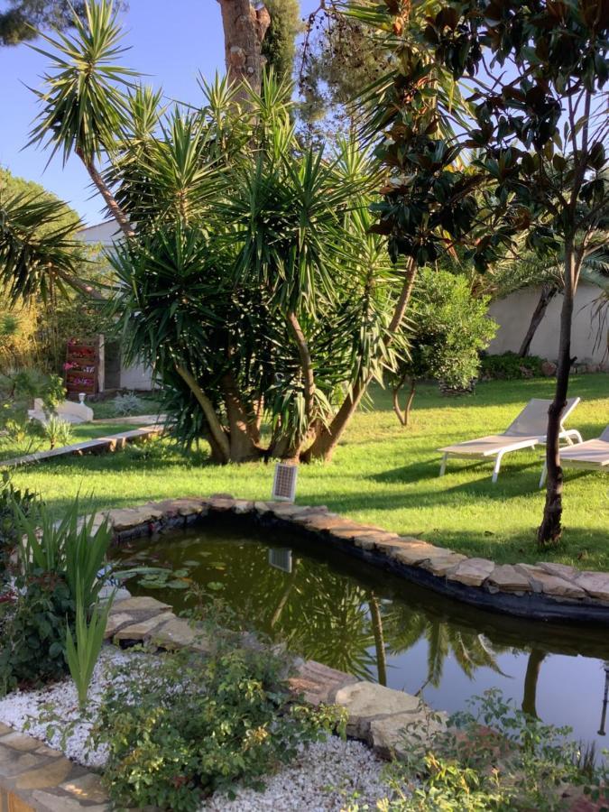 Rev'de Thau Bed & Breakfast
